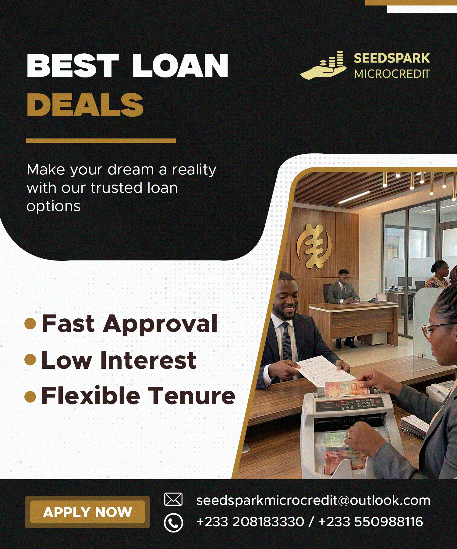 Seedspark Microcredit